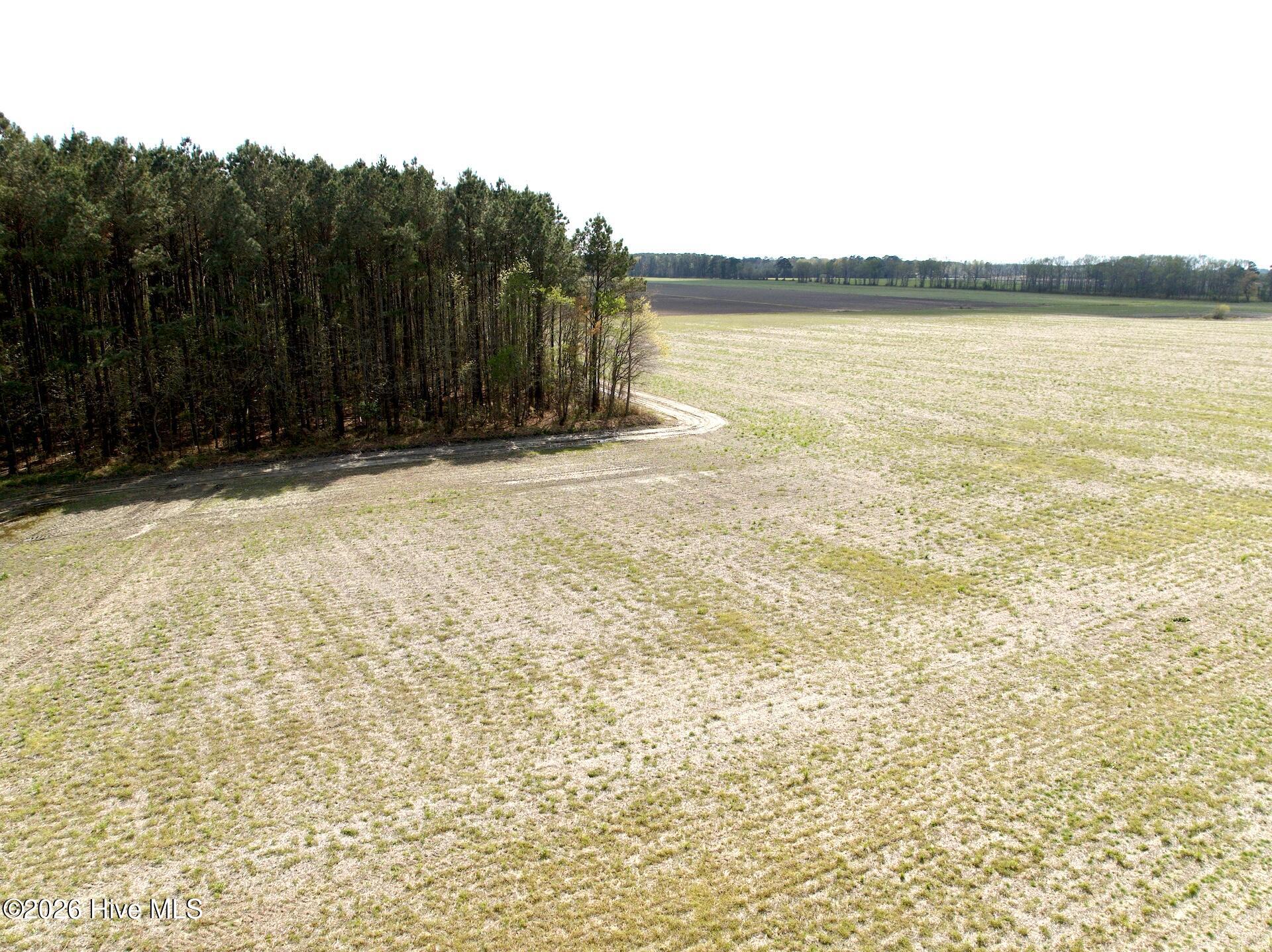 0 Middle Swamp Road Gates, NC 27937 - Photo 14 of 25 13