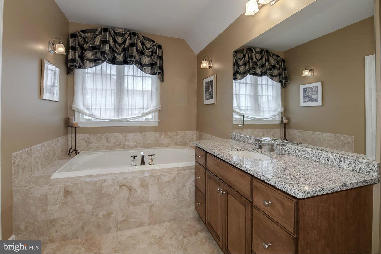 42433 Spring Splendor Drive Ashburn, VA 20148 - Photo 12 of 30 Bath (Master)