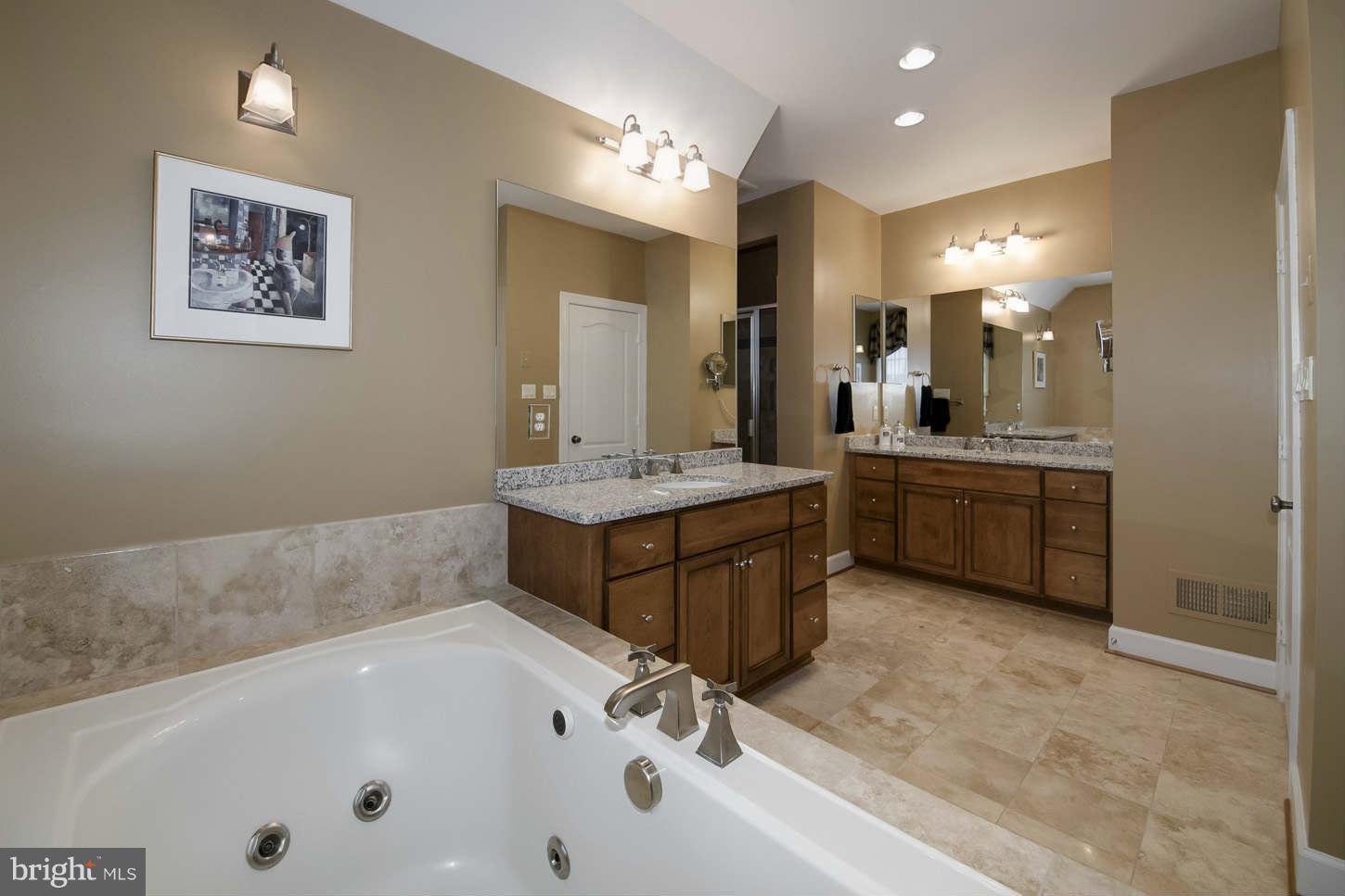 42433 Spring Splendor Drive Ashburn, VA 20148 - Photo 13 of 30 Bath (Master)