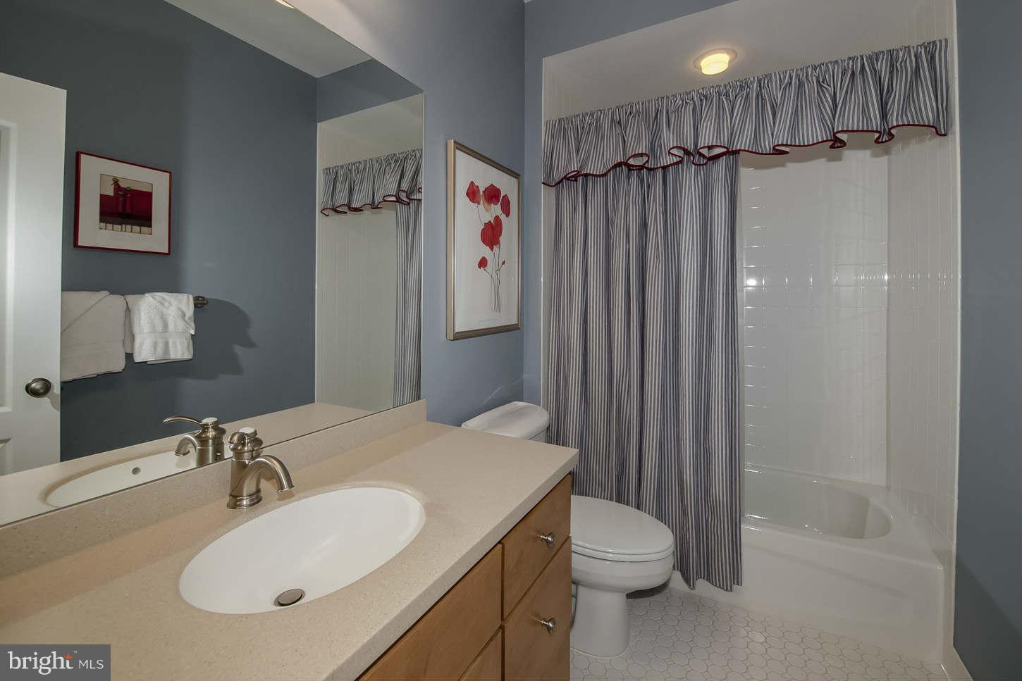 42433 Spring Splendor Drive Ashburn, VA 20148 - Photo 18 of 30 Bath