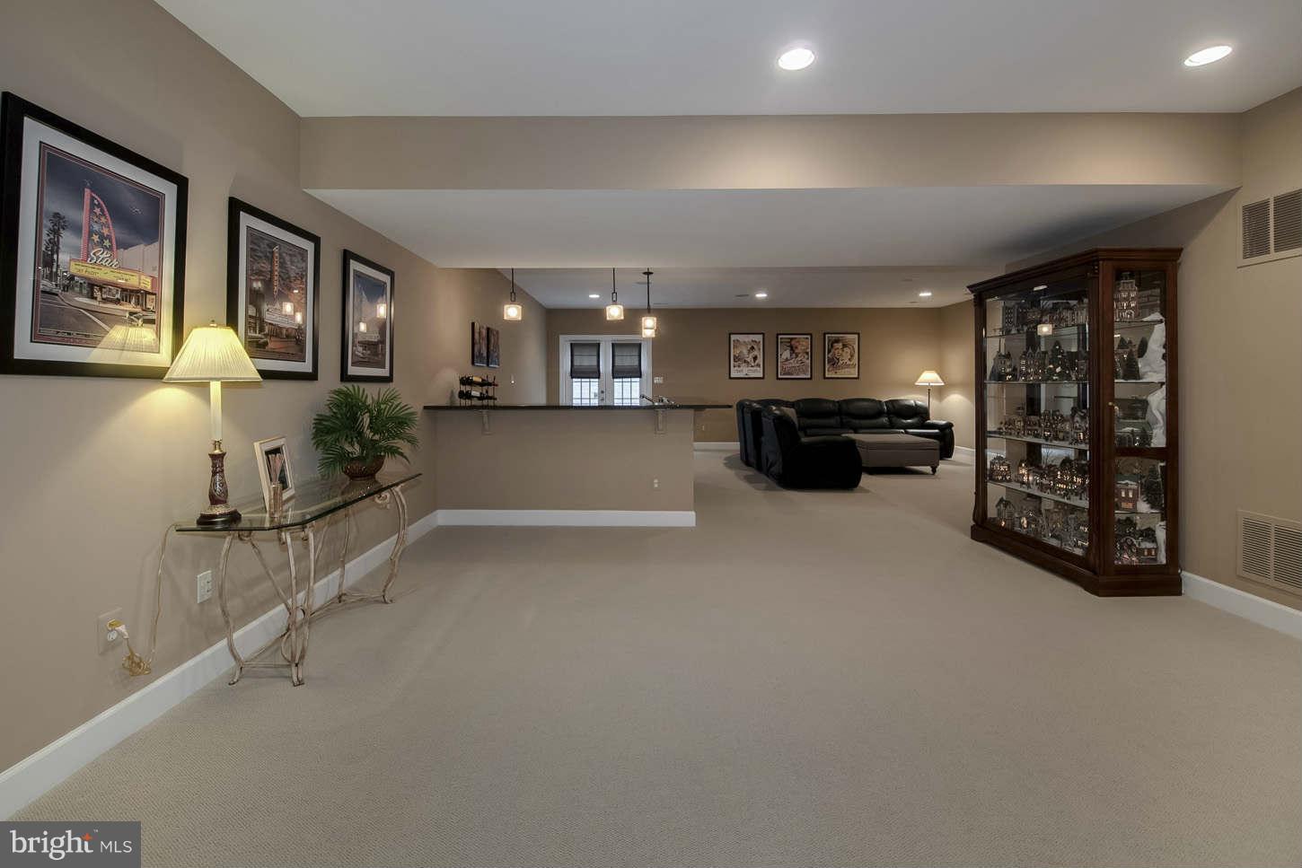 42433 Spring Splendor Drive Ashburn, VA 20148 - Photo 20 of 30 Basement
