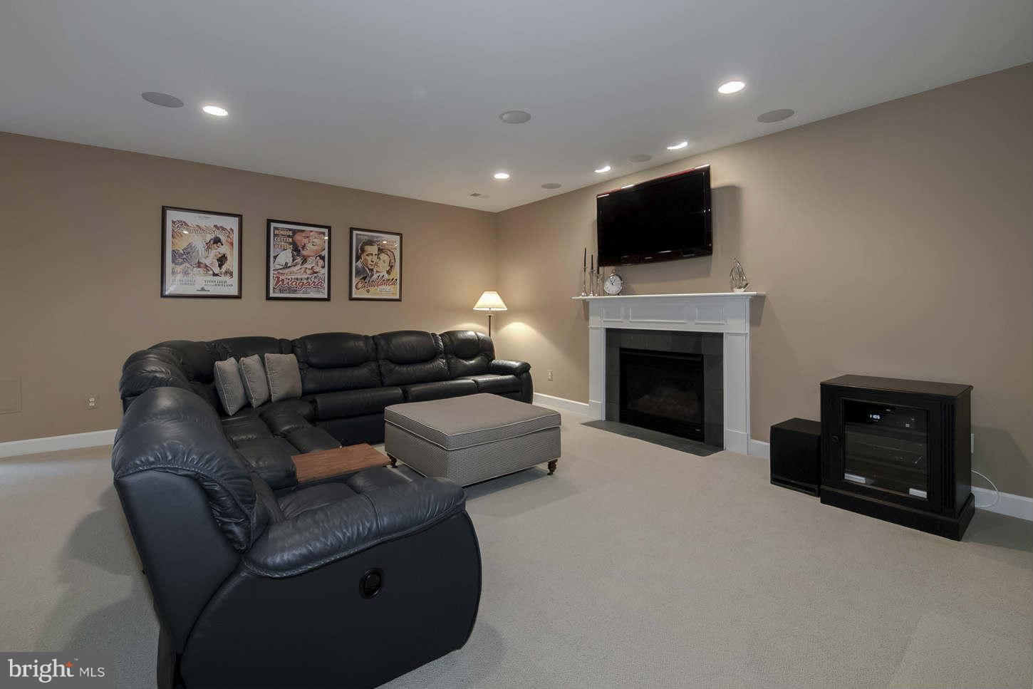 42433 Spring Splendor Drive Ashburn, VA 20148 - Photo 21 of 30 Basement