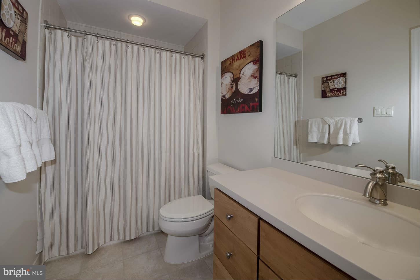 42433 Spring Splendor Drive Ashburn, VA 20148 - Photo 24 of 30 Bath