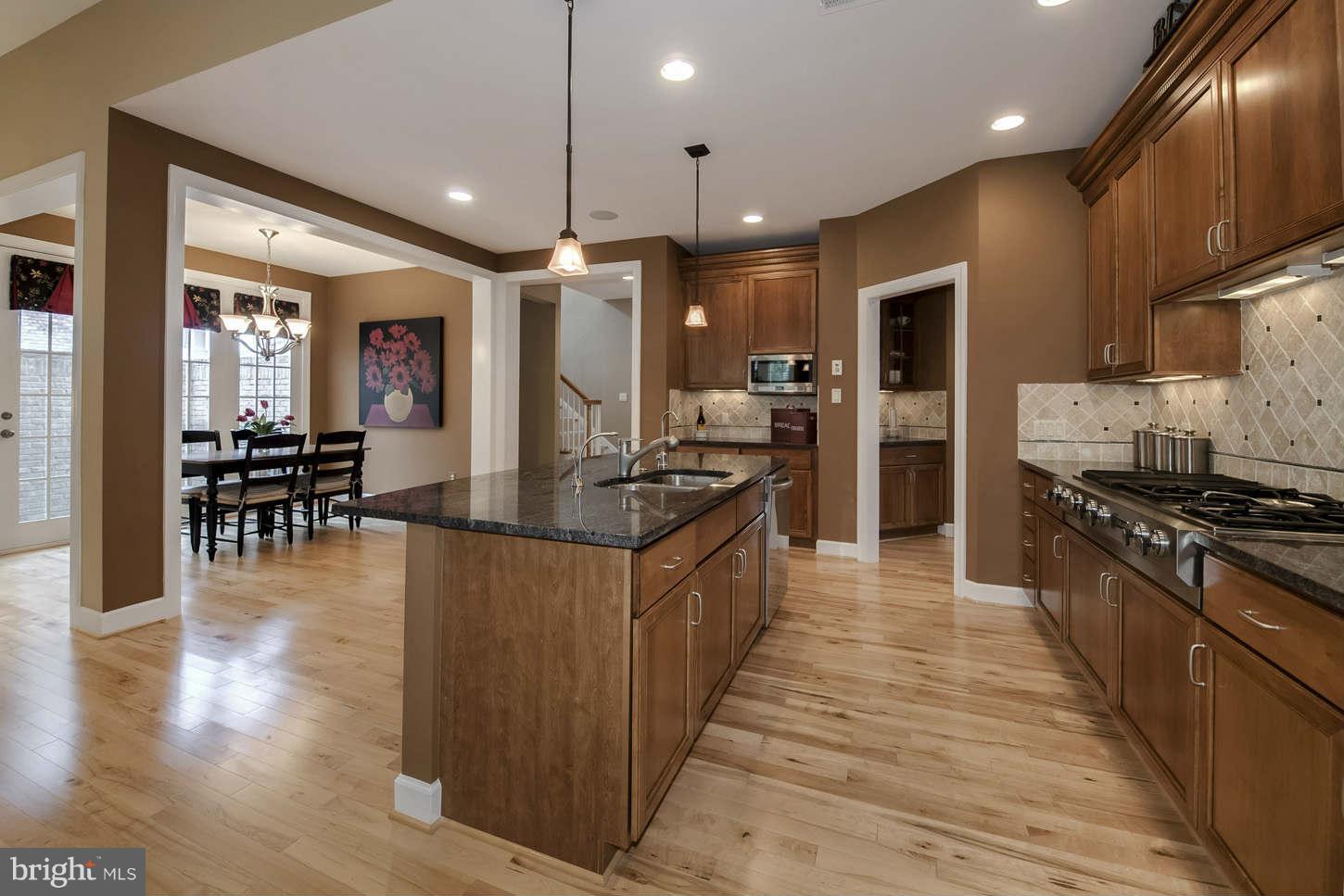 42433 Spring Splendor Drive Ashburn, VA 20148 - Photo 7 of 30 Kitchen