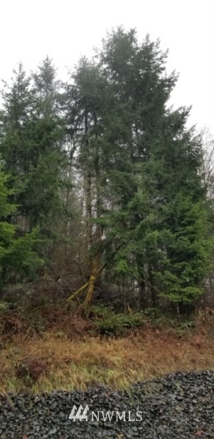 0 Reinke Road Centralia, WA 98531 - Photo 1 of 1 Gallery Image 1