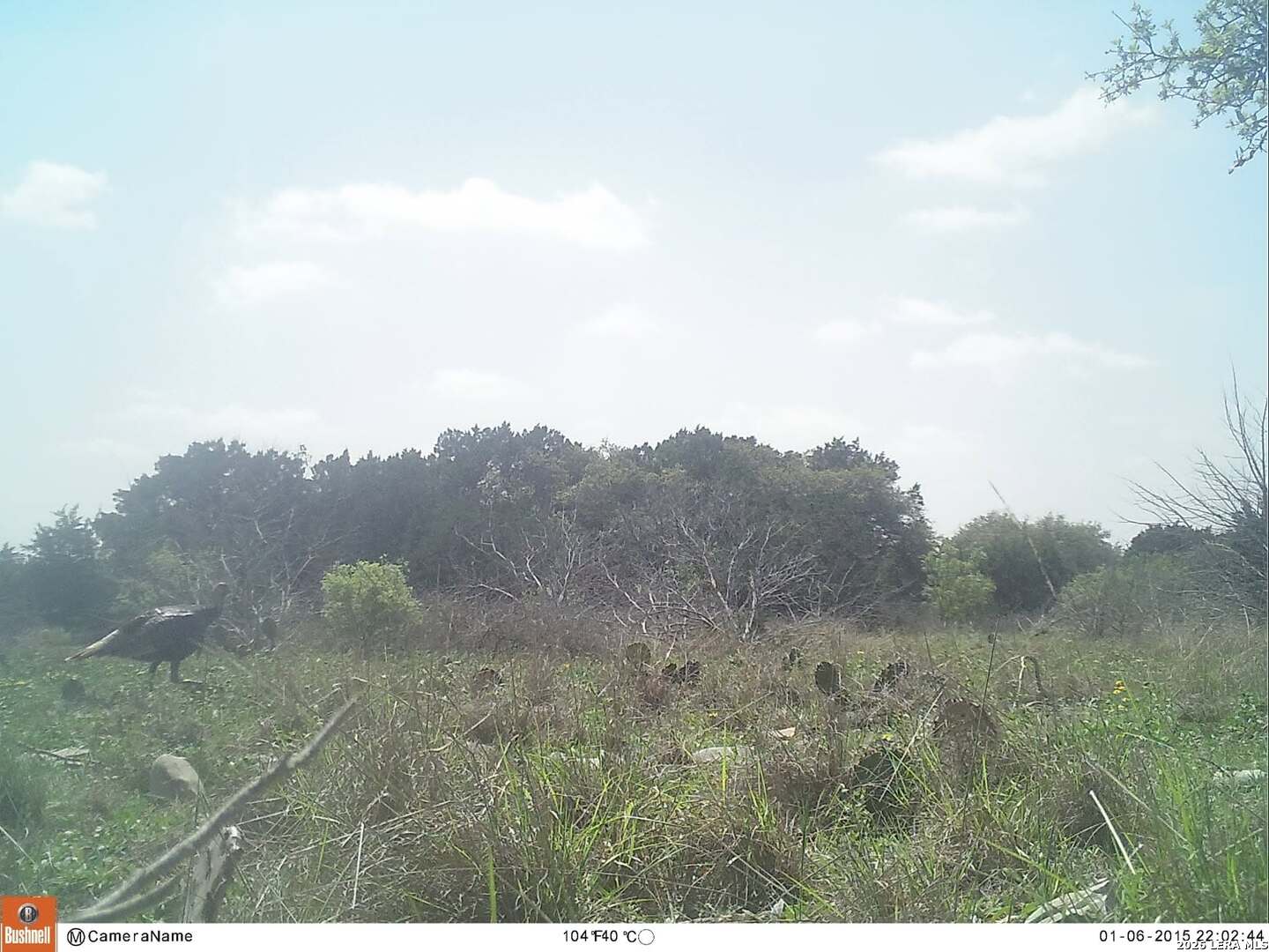 116 Leona Ranch Road Brackettville, TX 78832 - Photo 7 of 24 Gallery Image 7