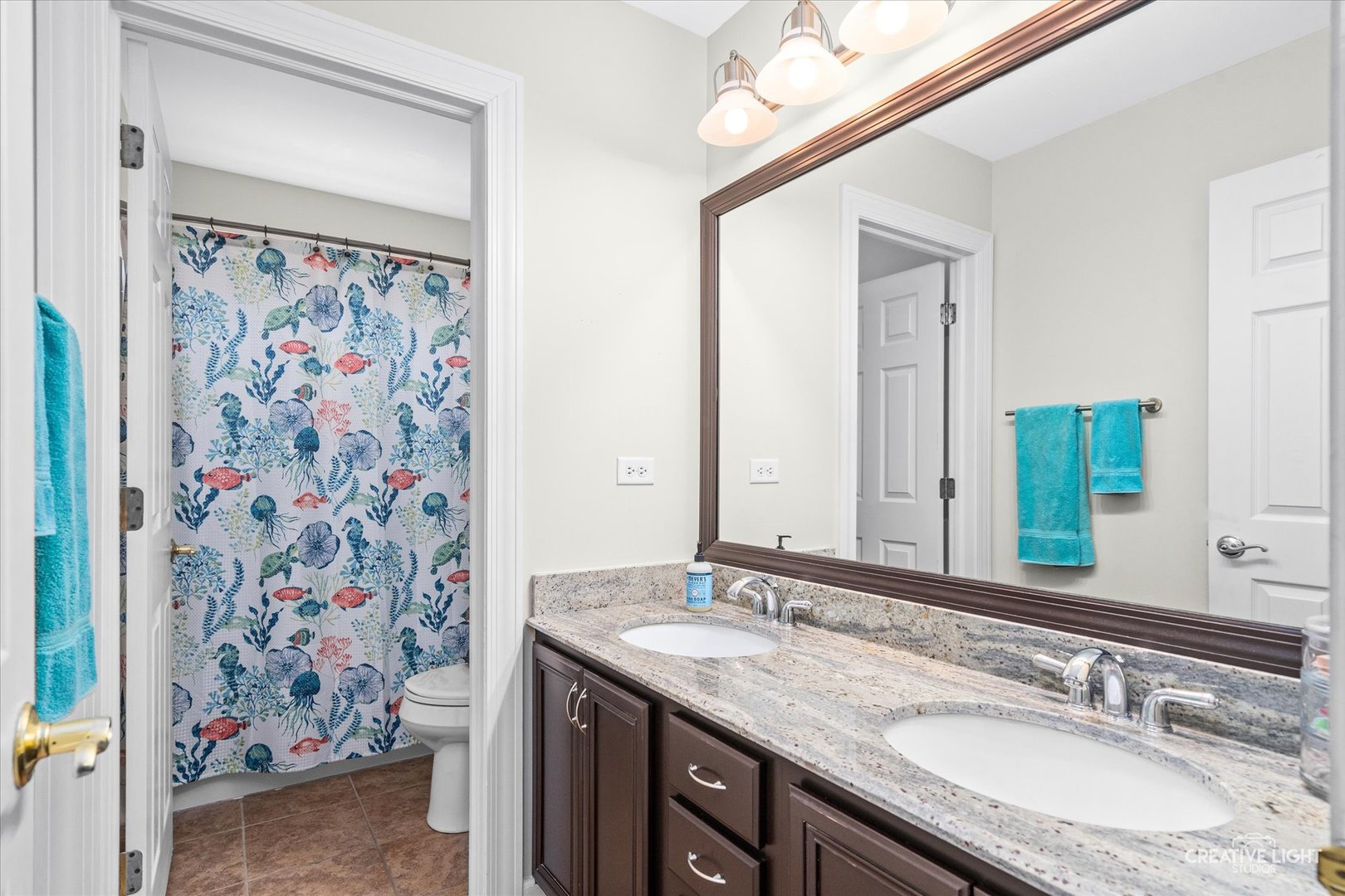 2817 Bauer Road North Aurora, IL 60542 - Photo 20 of 38 Gallery Image 20