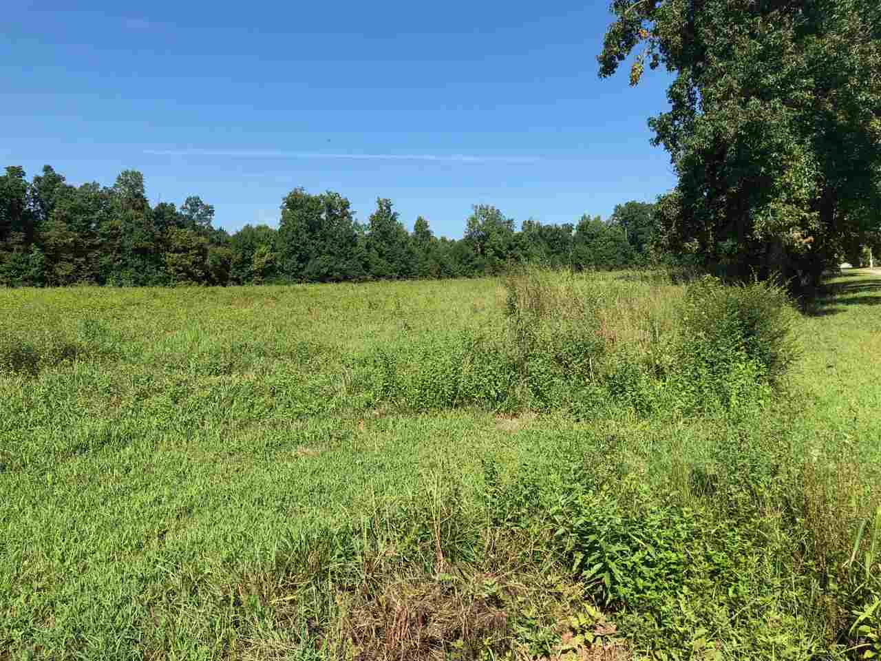 Dorman Road Campobello, SC 29322 - Photo 1 of 2