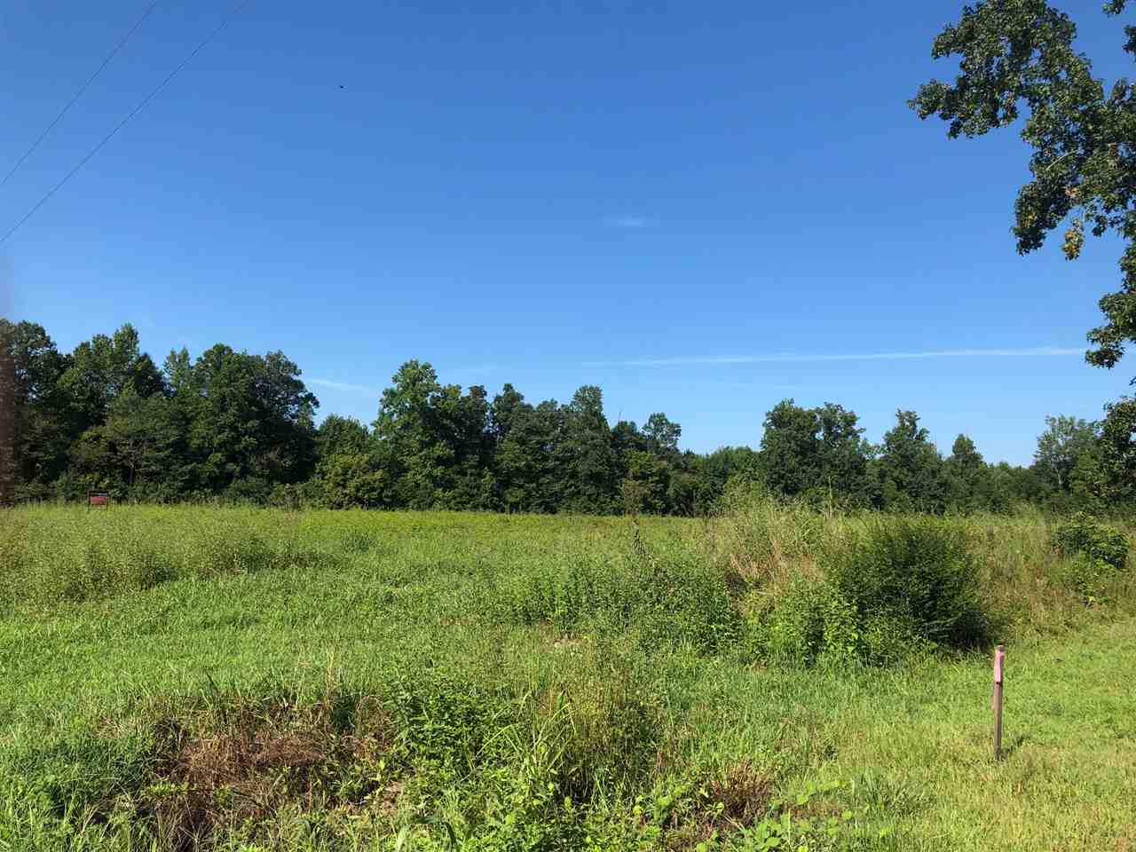 Dorman Road Campobello, SC 29322 - Photo 2 of 2