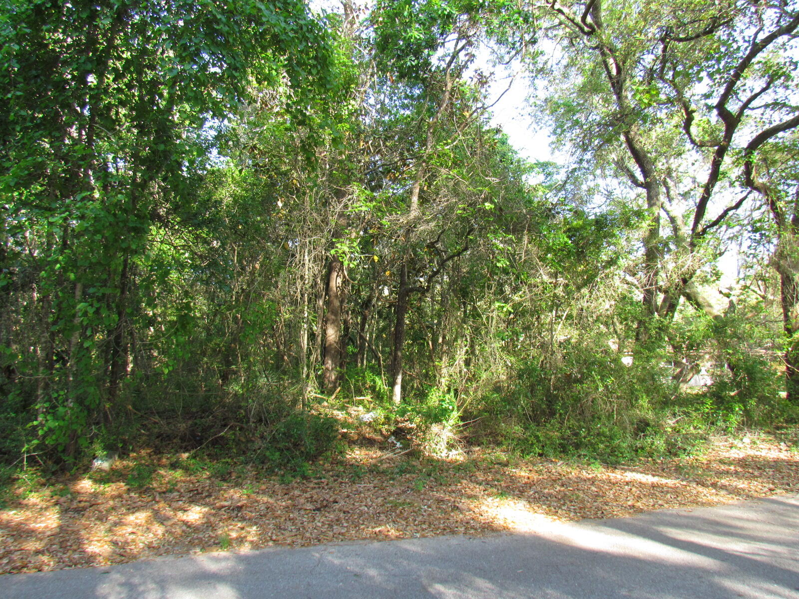 Lot 5-blk Holley Point Road Navarre, FL 32566 - Photo 3 of 4 IMG_0002
