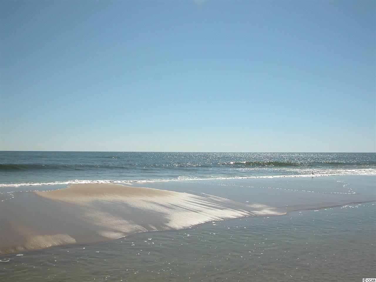 66 Arcadia Road Pawleys Island, SC 29585 - Photo 38 of 40 Gallery Image 38