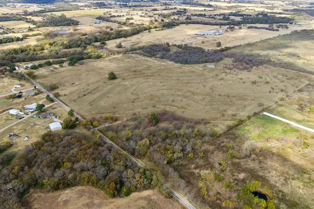 a view of an ocean from in a yard