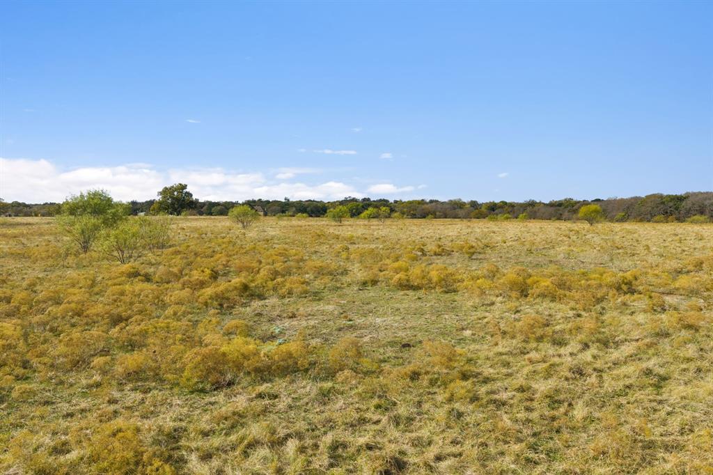 10127 Farm To Market Road 1385 Pilot Point, TX 76258 - Photo 6 of 16