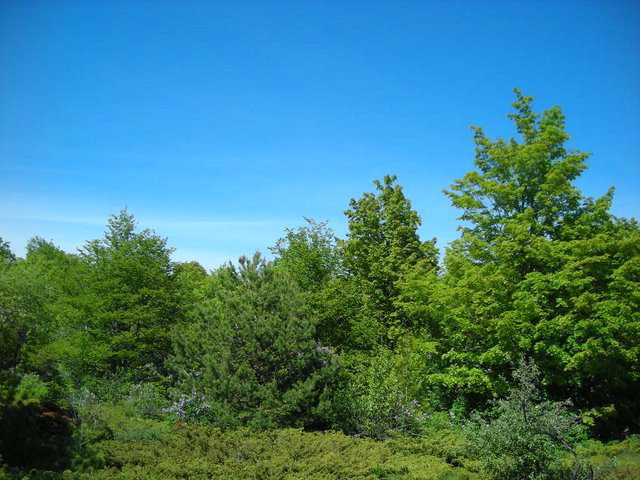 1708 Waters End Road Sister Bay, WI 54234 - Photo 1 of 1