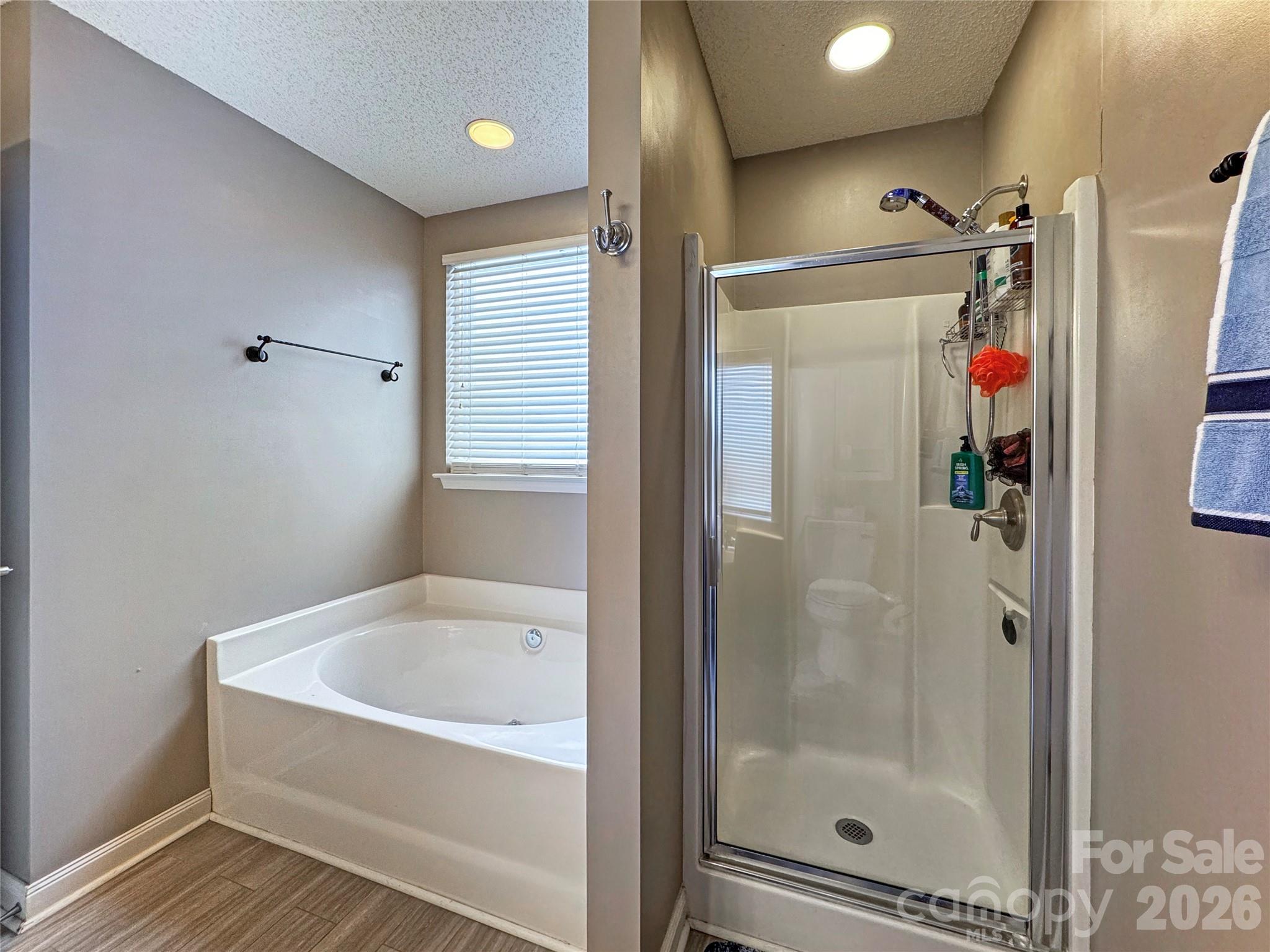 196 Mott Road Mooresville, NC 28115 - Photo 14 of 24