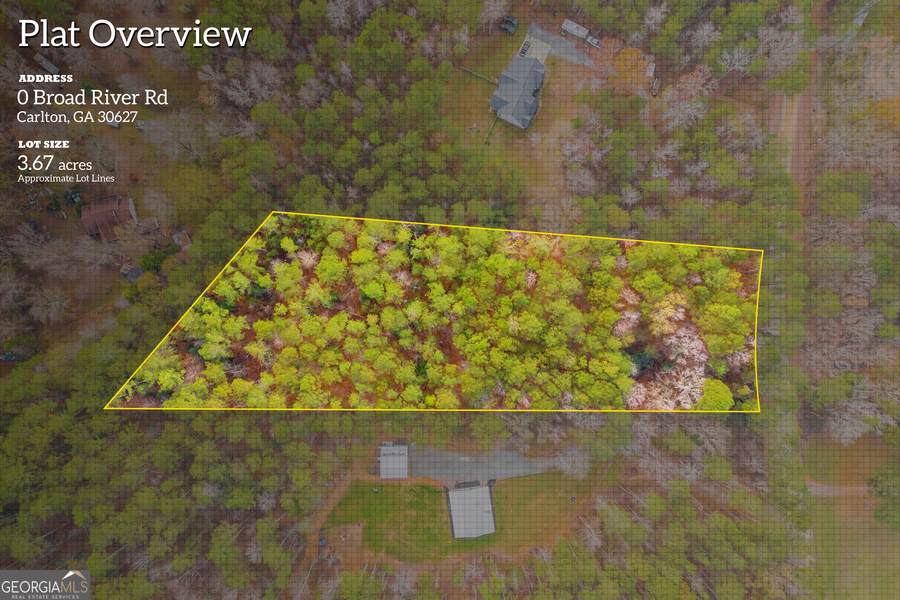 0 Broad River Road Carlton, GA 30627 - Photo 1 of 24