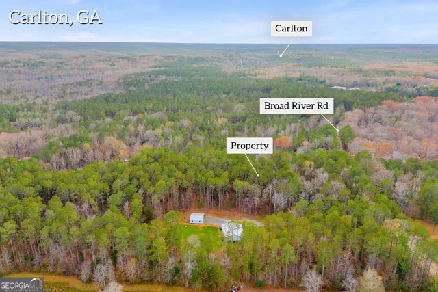 a view of a pathway with a yard