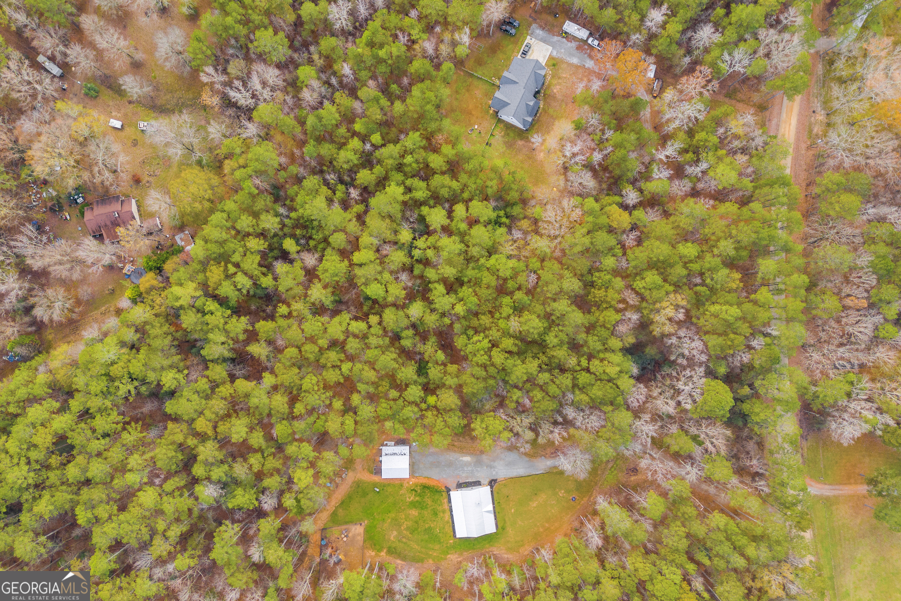 0 Broad River Road Carlton, GA 30627 - Photo 12 of 24