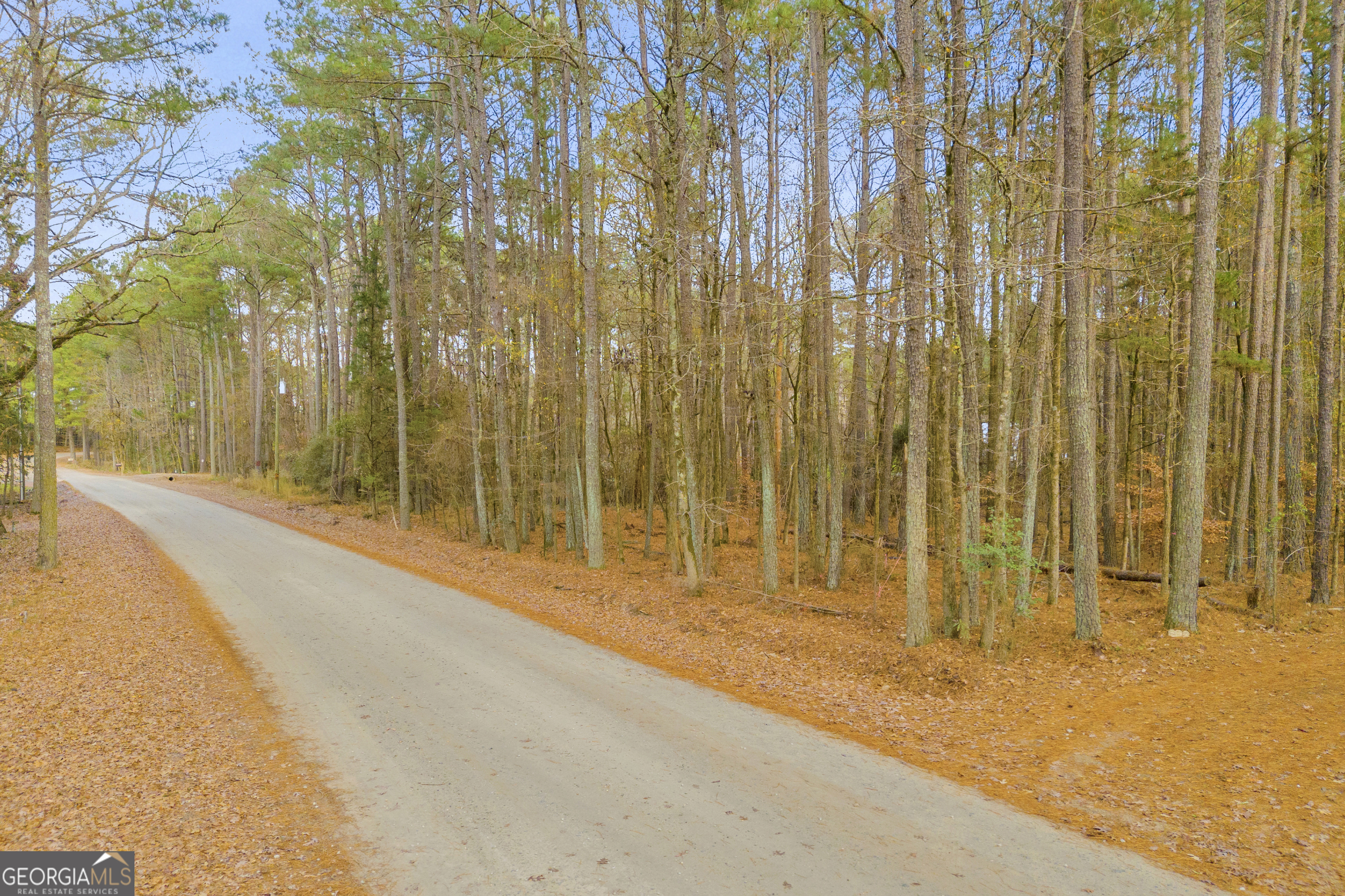 0 Broad River Road Carlton, GA 30627 - Photo 14 of 24 a bathroom with a shower