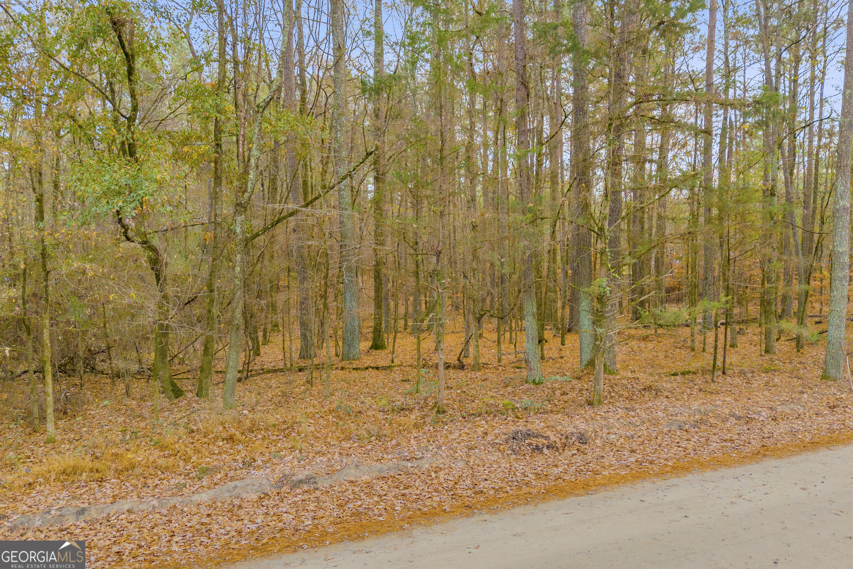 0 Broad River Road Carlton, GA 30627 - Photo 15 of 24 a view of wooden fence and trees