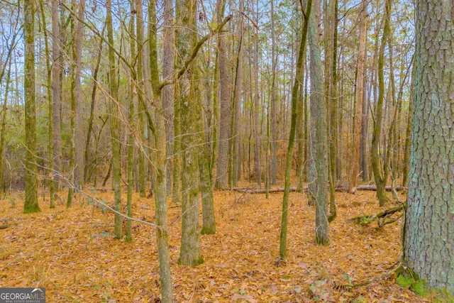 a view of a city with lush green forest