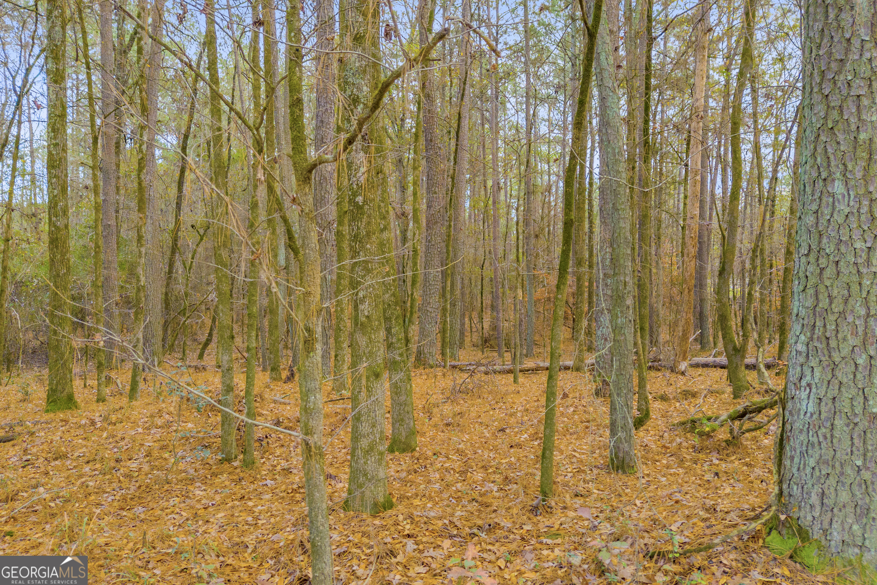 0 Broad River Road Carlton, GA 30627 - Photo 16 of 24 a bathroom with a shower