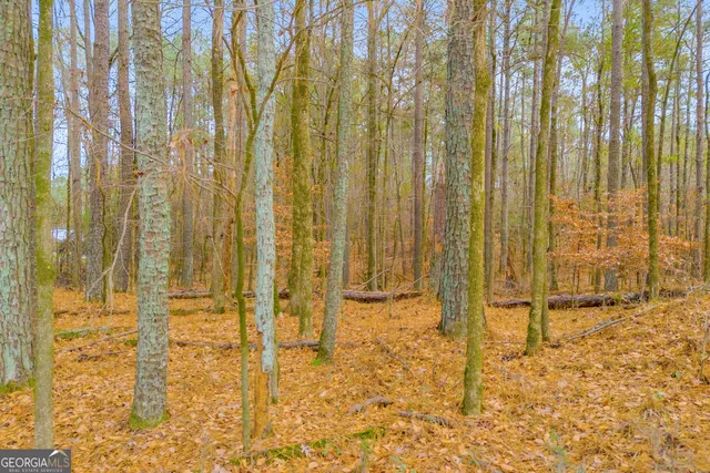 a view of a city with green space