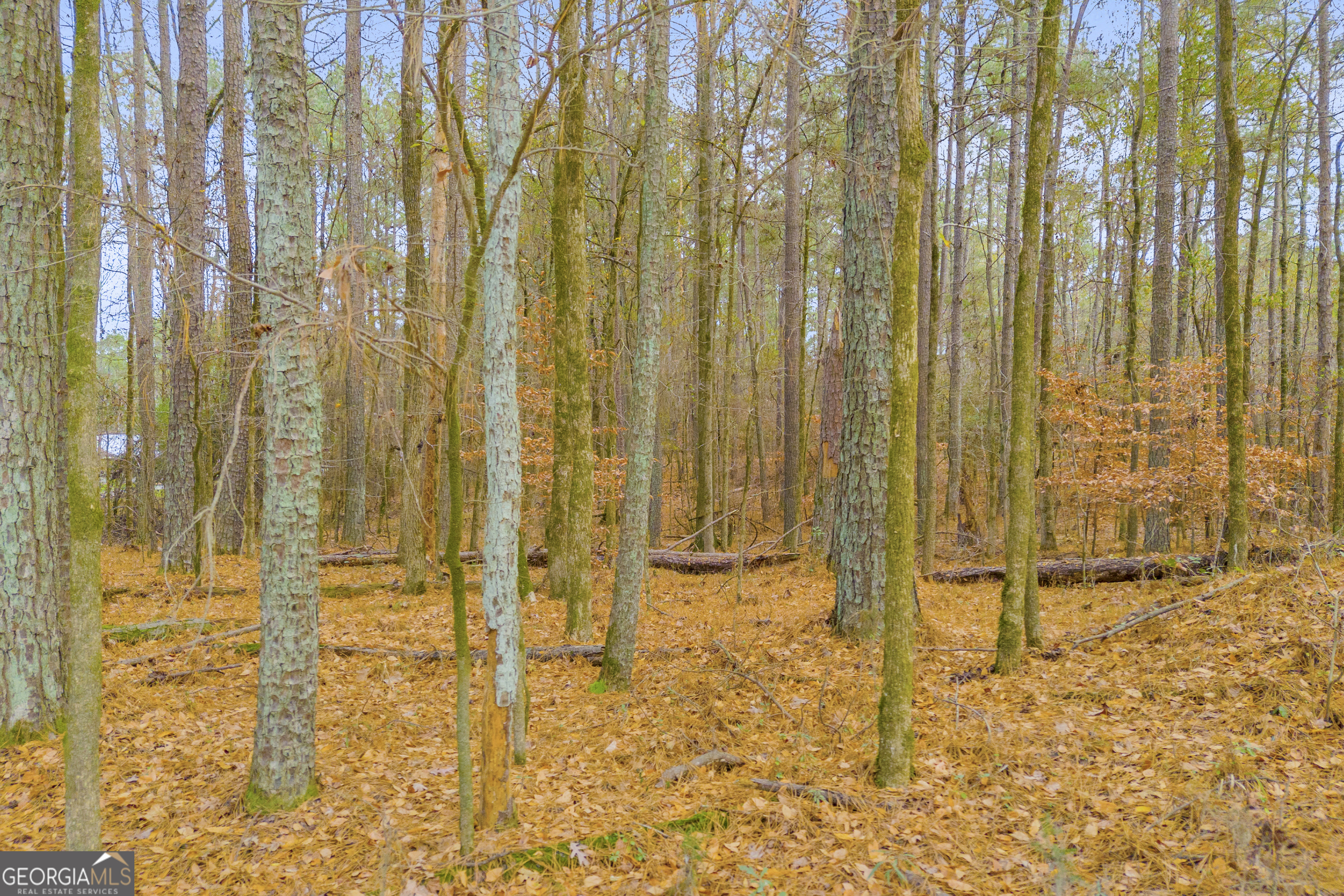 0 Broad River Road Carlton, GA 30627 - Photo 17 of 24 a bathroom with a shower
