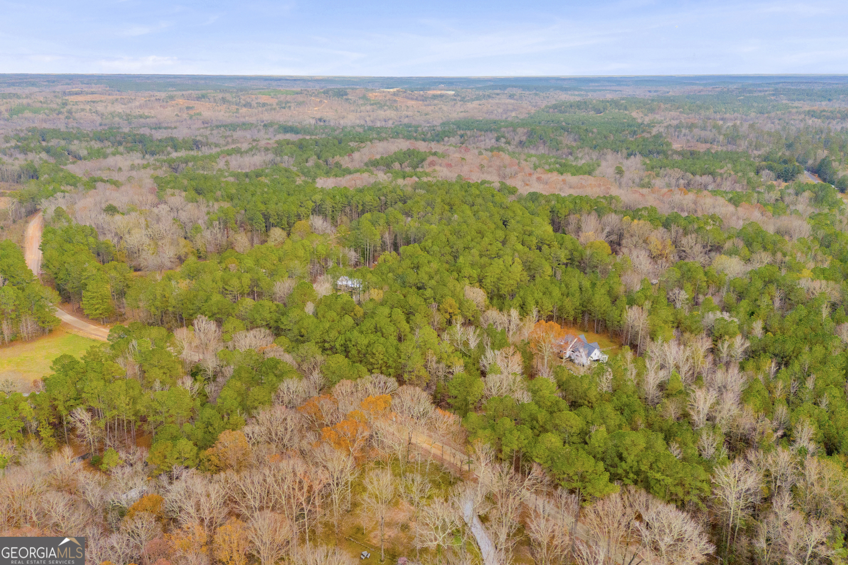 0 Broad River Road Carlton, GA 30627 - Photo 18 of 24 a view of a city with lush green forest