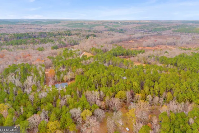 a view of a city with lush green forest