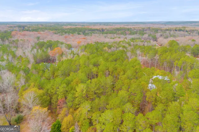 $60,000 | 0 Broad River Road, Carlton, GA 30627