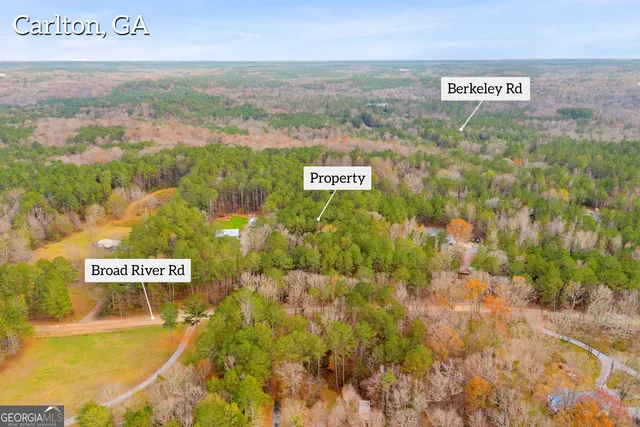 a view of city and ocean