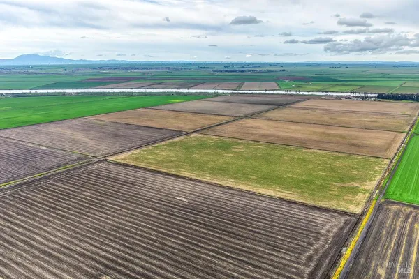 a view of a plants with trees