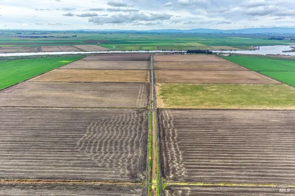 a view of a park with large trees