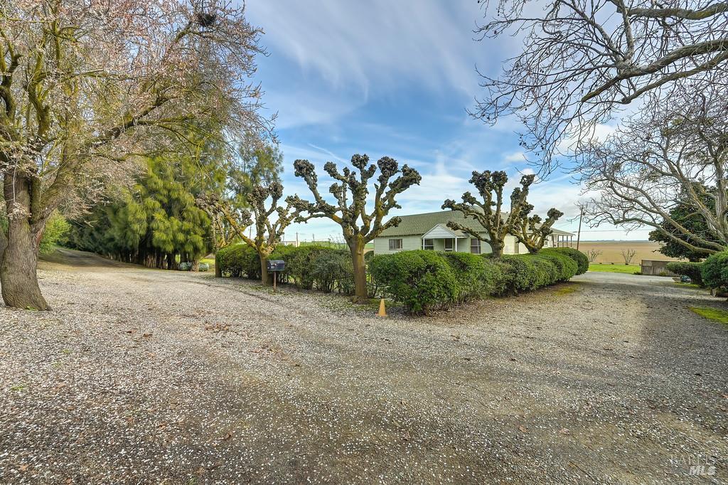 3834 Highway 84 Walnut Grove, CA 95690 - Photo 42 of 84 a view of a plants with trees