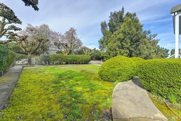 a bathroom with a sink a toilet and shower curtain