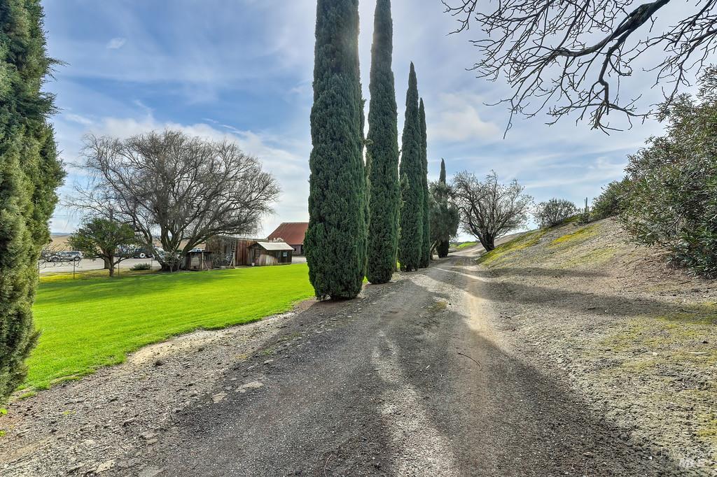 3834 Highway 84 Walnut Grove, CA 95690 - Photo 46 of 84 a view of a park with large trees