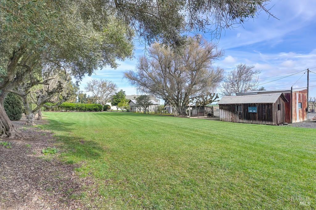 3834 Highway 84 Walnut Grove, CA 95690 - Photo 50 of 84 a view of a house with a yard
