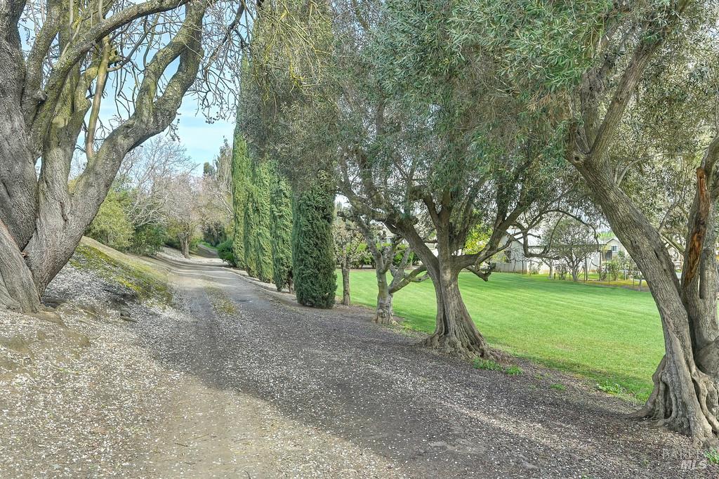 3834 Highway 84 Walnut Grove, CA 95690 - Photo 51 of 84