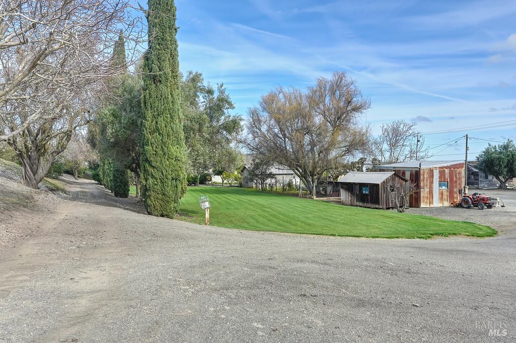 3834 Highway 84 Walnut Grove, CA 95690 - Photo 53 of 84 a view of a house with a yard and large trees