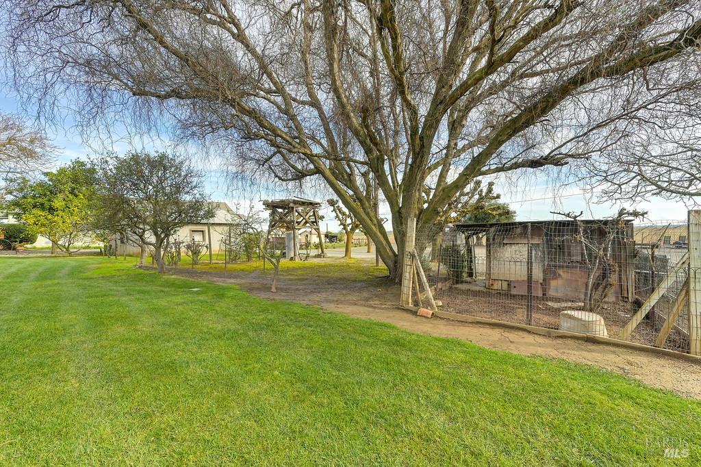 3834 Highway 84 Walnut Grove, CA 95690 - Photo 59 of 84