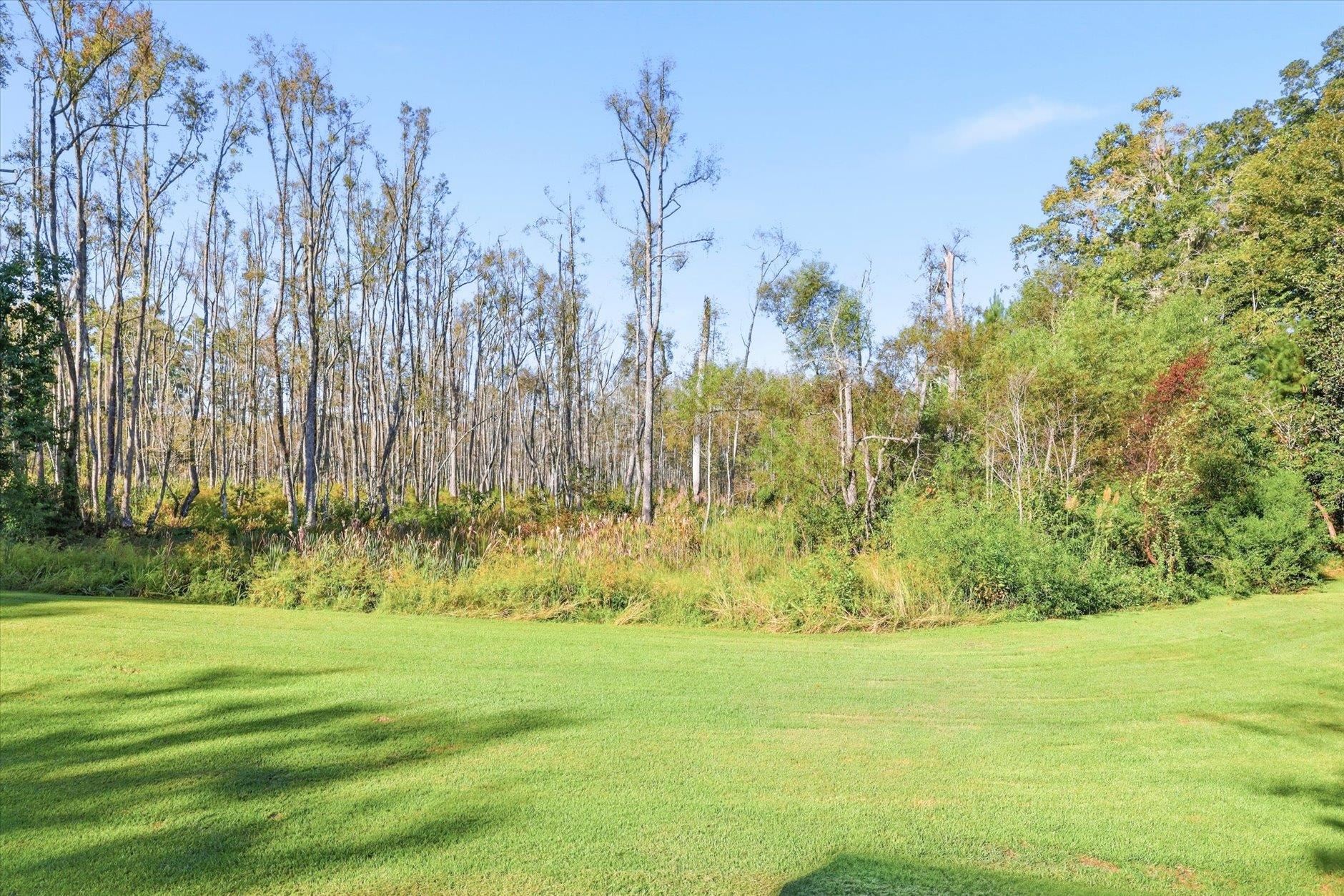 7036 Proctor Road Tallahassee, FL 32309 - Photo 53 of 66 Gallery Image 53