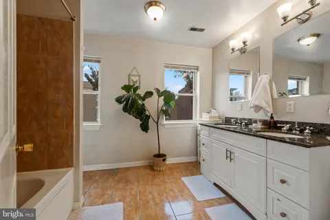 a kitchen with a sink a faucet a potted plant and a large mirror