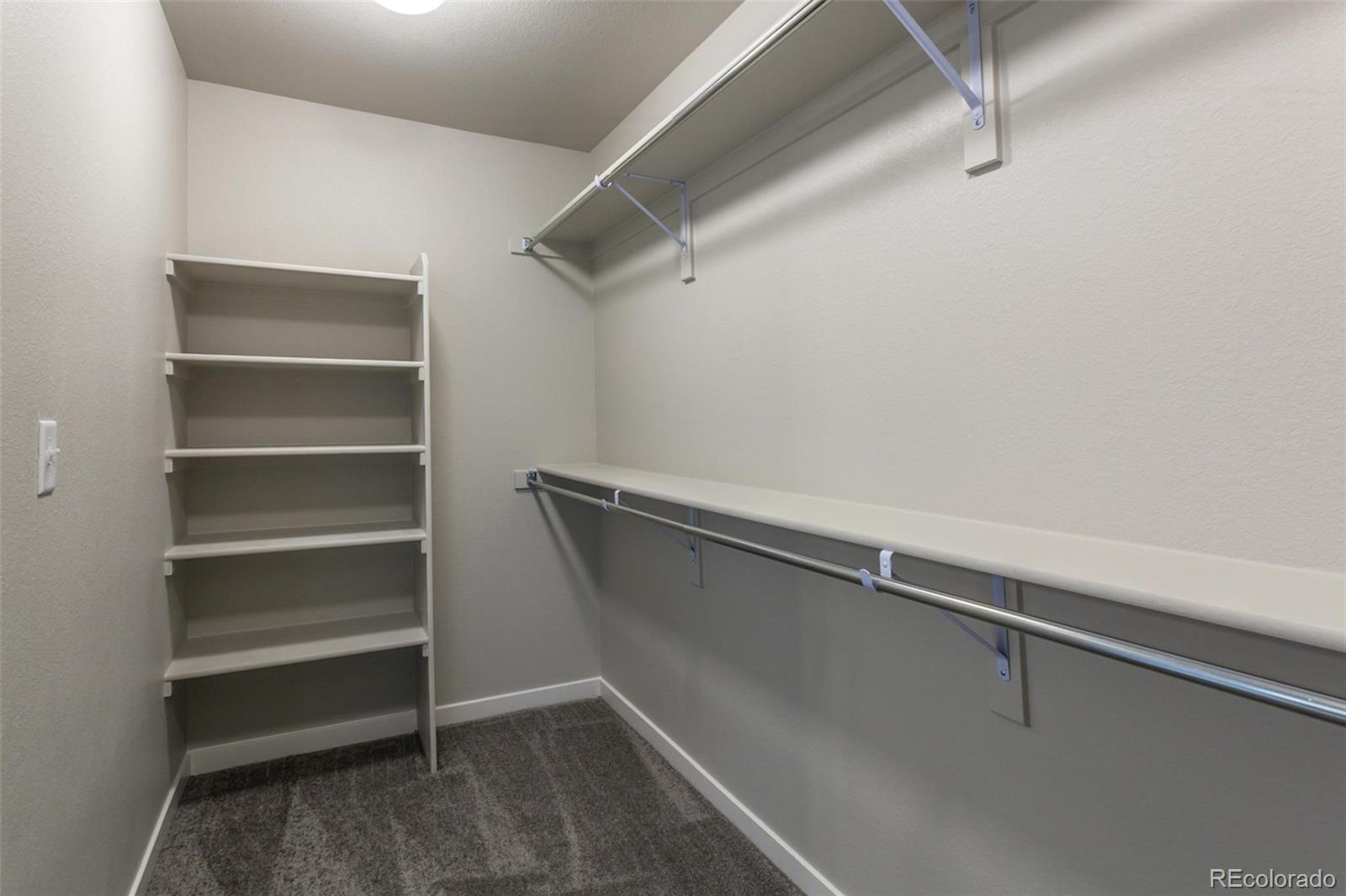 2733 Conquest Street Fort Collins, CO 80524 - Photo 22 of 37