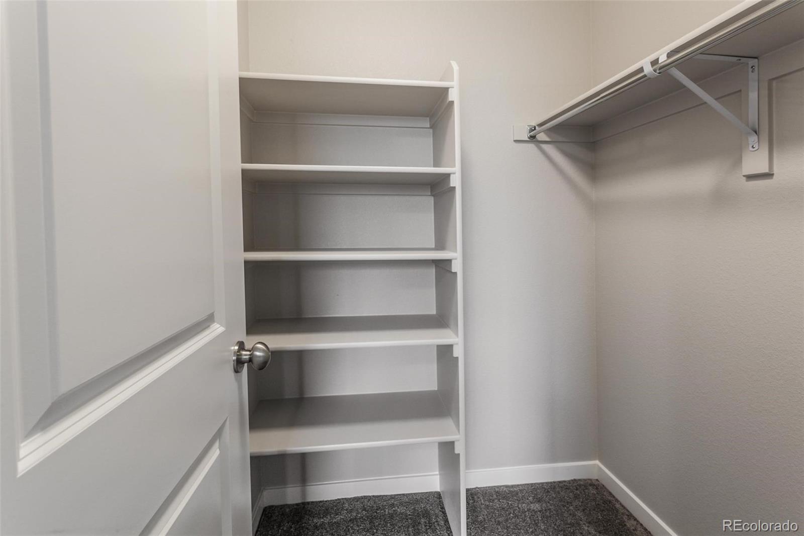 2733 Conquest Street Fort Collins, CO 80524 - Photo 23 of 37