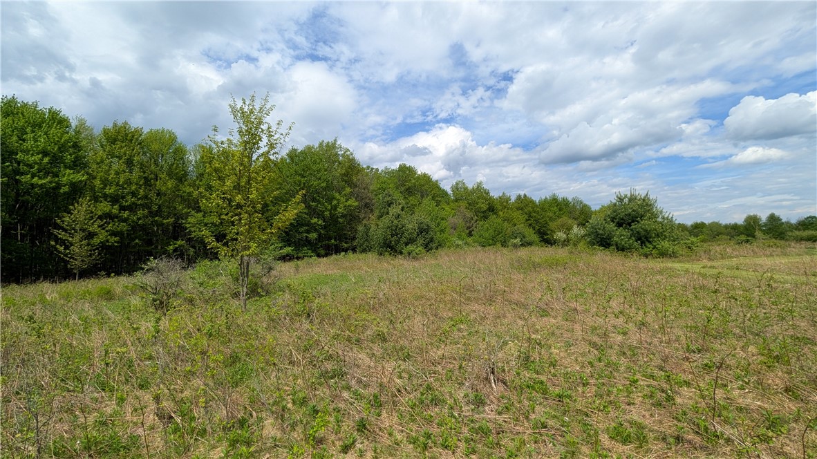 5820 Steam Mill Road Masonville, NY 13849 - Photo 45 of 47