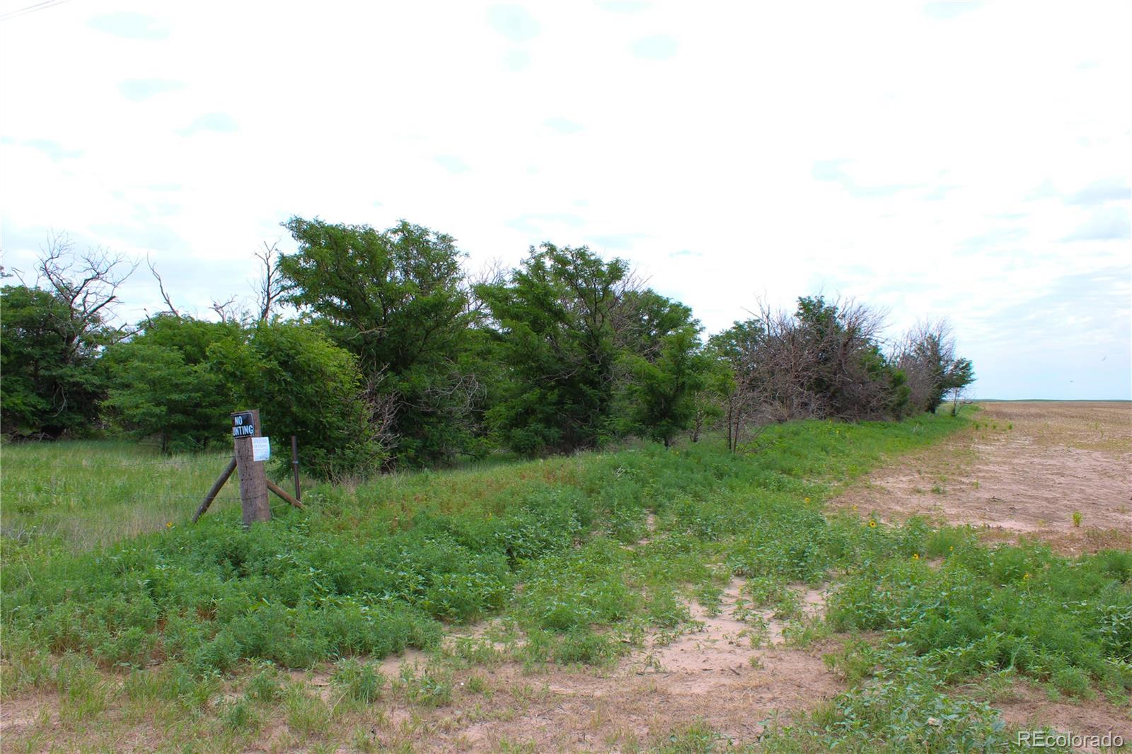 1901 County Road East Joes, CO 80822 - Photo 24 of 36