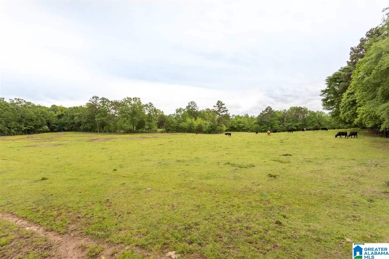 437 Jenifer Road Munford, AL 36268 - Photo 11 of 11