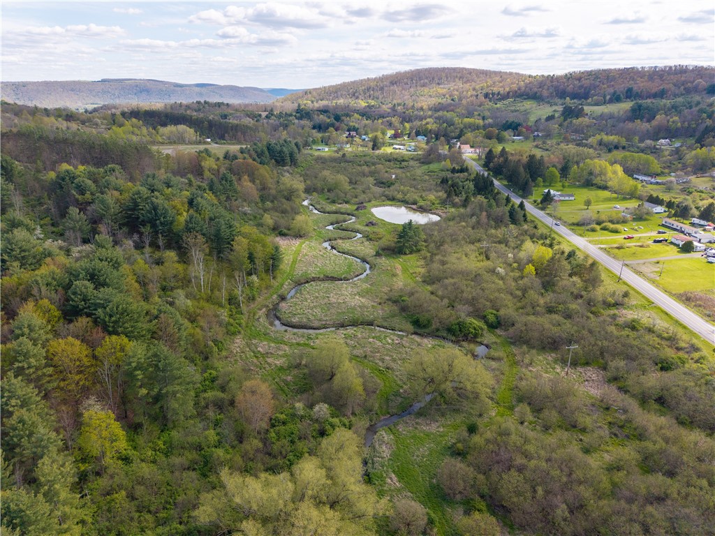 0 County Route 13 Bath, NY 14810 - Photo 10 of 26