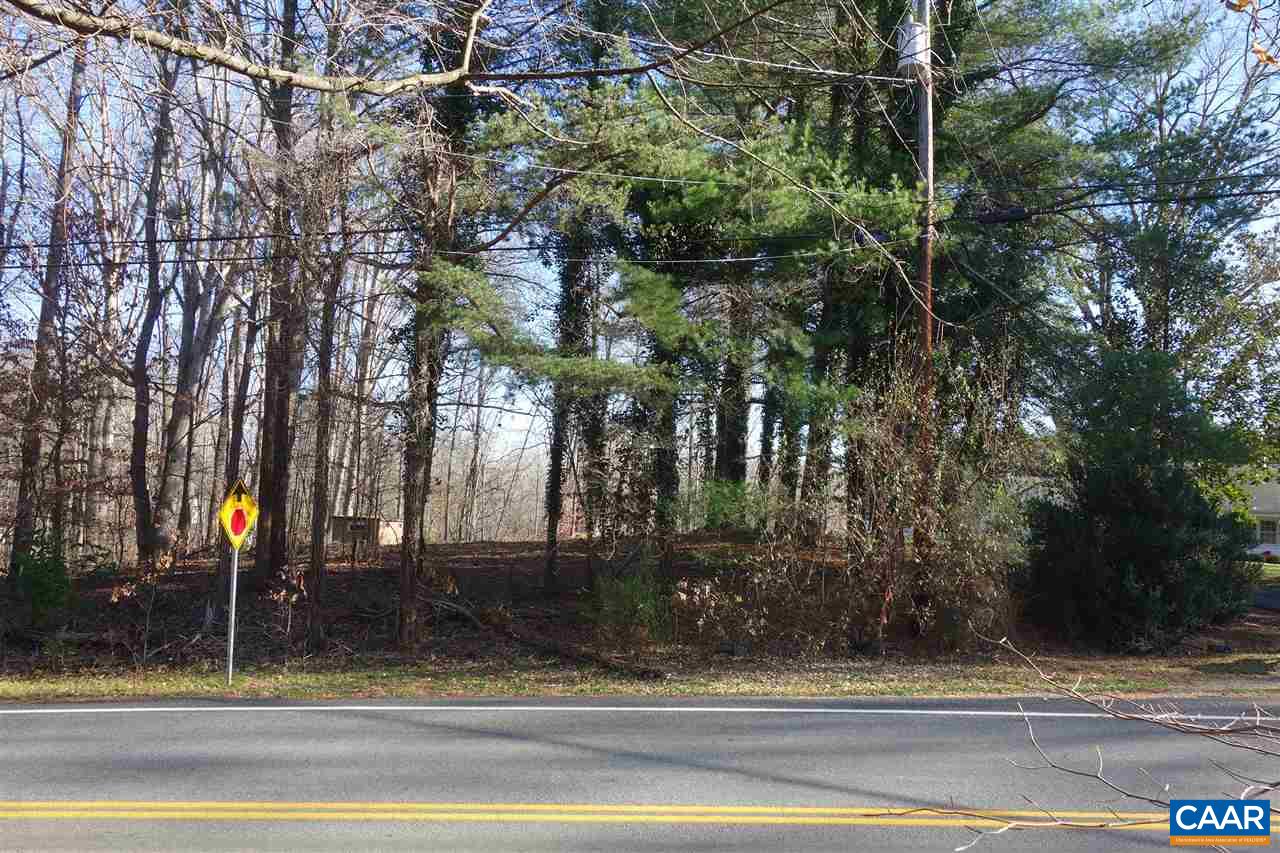 a view of a yard and tree s